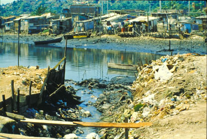 Slide Picture - Go to the link on this page entitled Read in English for a detailed description