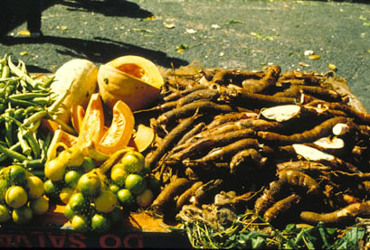 Slide Picture - Go to the link on this page entitled Read in English for a detailed description