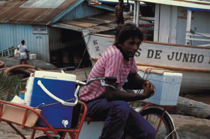 Slide Picture - Go to the link on this page entitled Read in English for a detailed description