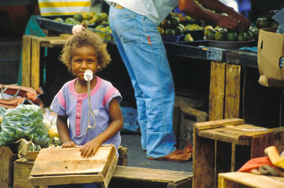 Slide Picture - Go to the link on this page entitled Read in English for a detailed description