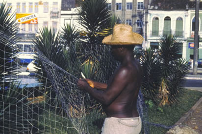 Slide Picture - Go to the link on this page entitled Read in English for a detailed description