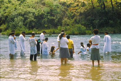 Slide Picture - Go to the link on this page entitled Read in English for a detailed description