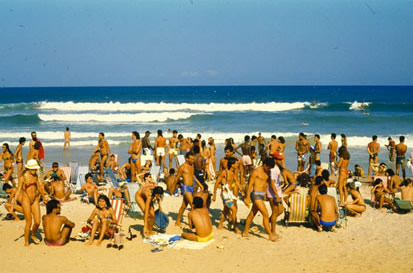 Slide Picture - Go to the link on this page entitled Read in English for a detailed description