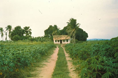 Slide Picture - Go to the link on this page entitled Read in English for a detailed description