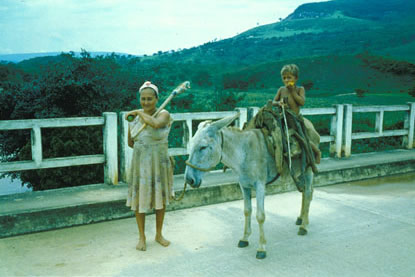 Slide Picture - Go to the link on this page entitled Read in English for a detailed description