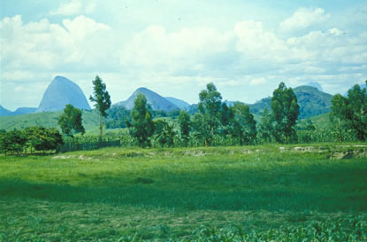 Slide Picture - Go to the link on this page entitled Read in English for a detailed description