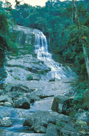 Slide Picture - Go to the link on this page entitled Read in English for a detailed description