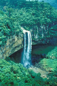 Slide Picture - Go to the link on this page entitled Read in English for a detailed description