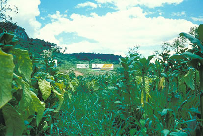 Slide Picture - Go to the link on this page entitled Read in English for a detailed description