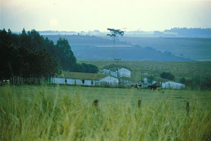 Slide Picture - Go to the link on this page entitled Read in English for a detailed description