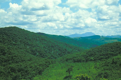 Slide Picture - Go to the link on this page entitled Read in English for a detailed description