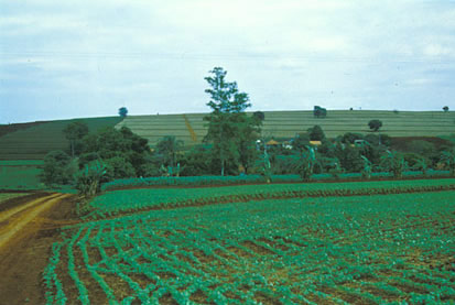 Slide Picture - Go to the link on this page entitled Read in English for a detailed description