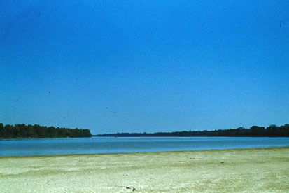 Slide Picture - Go to the link on this page entitled Read in English for a detailed description