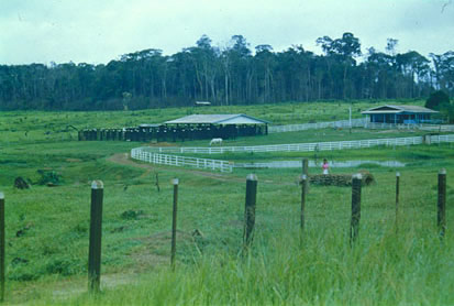 Slide Picture - Go to the link on this page entitled Read in English for a detailed description