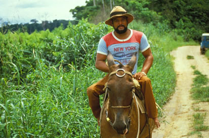 Slide Picture - Go to the link on this page entitled Read in English for a detailed description