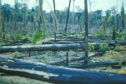 Slide Picture - Go to the link on this page entitled Read in English for a detailed description