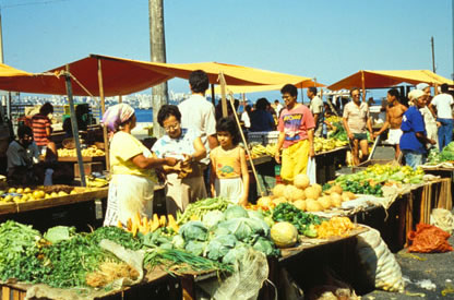 Slide Picture - Go to the link on this page entitled Read in English for a detailed description