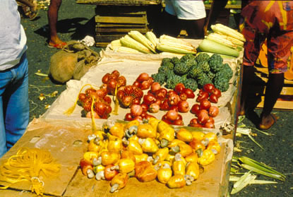 Slide Picture - Go to the link on this page entitled Read in English for a detailed description